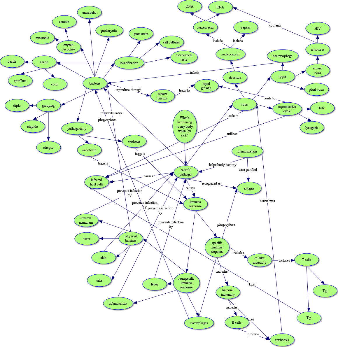 Concept Map Concept Map