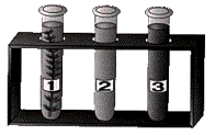 test tubes 